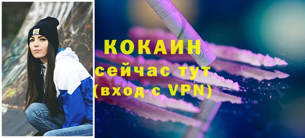 spice Богданович