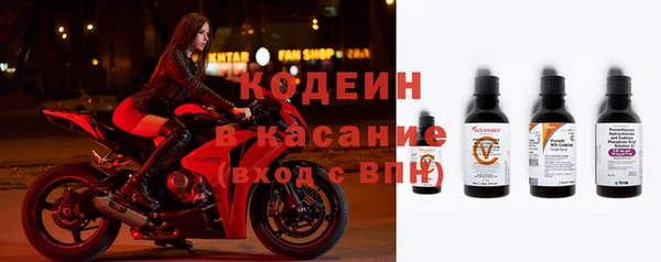 spice Богданович