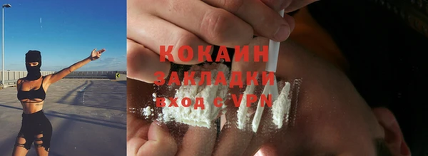 PSILOCYBIN Тайга