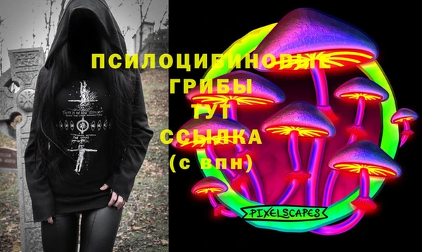 spice Белокуриха