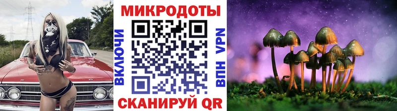Псилоцибиновые грибы Cubensis hydra зеркало Видное