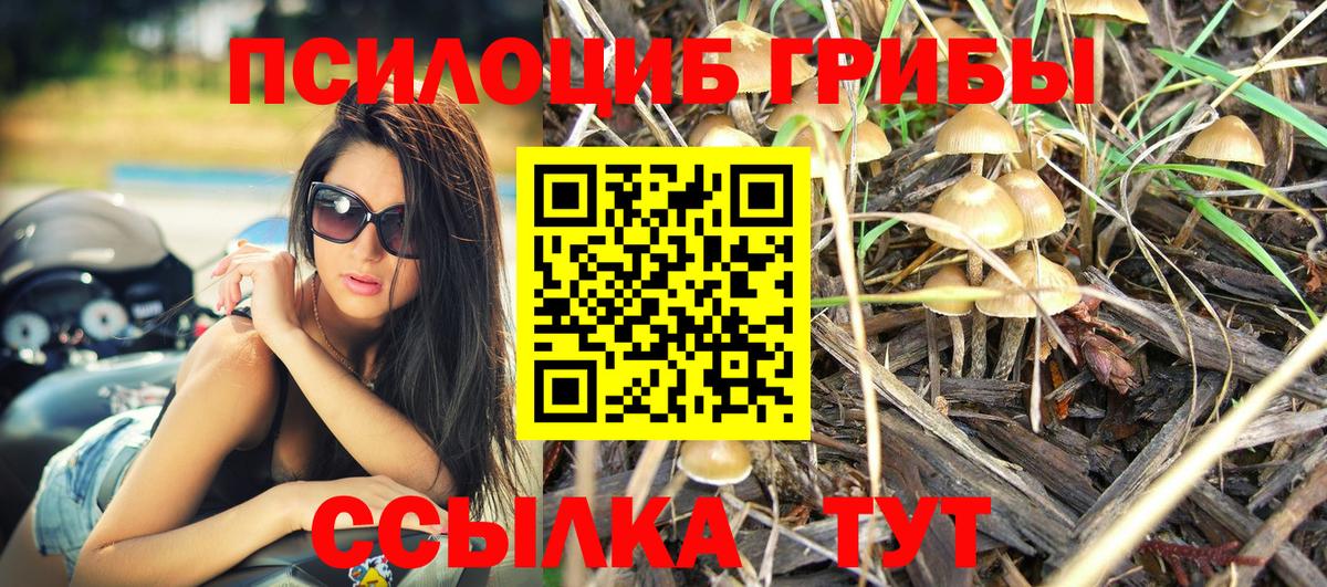 Галлюциногенные грибы ЛСД Видное