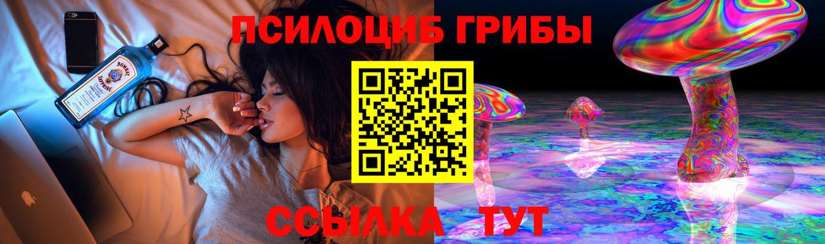 Видное  Галлюциногенные грибы Magic Shrooms  Вход с VPN 